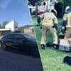 Politie én brandweer opgetrommeld voor pauw die auto aanviel in Oelegem: "Hij liet zich niet zomaar vangen"