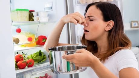 Fleisch, Fisch, Milch: So lange halten sich Lebensmittel im Kühlschrank