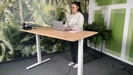 Boho Office Basic im Test