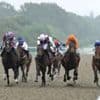 British racing to hold one-day strike in tax protest