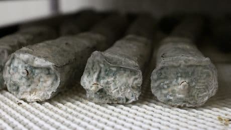 Intoxication alimentaire : plus 40 fromages rappelés pour suspicion de Listeria