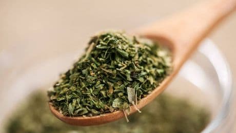 Cuáles son las propiedades curativas del orégano: una hierba rica en antioxidantes con potencial antimicrobiano