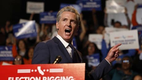 Exclusive: Newsom pollster sees big support for California redistricting