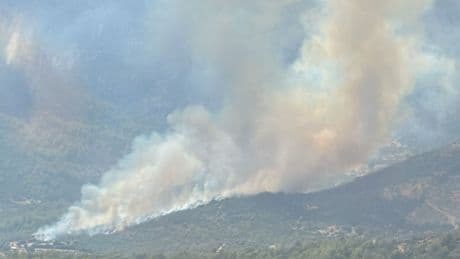 Muğla'da ormanlık alanda çıkan yangın kısa sürede büyüdü