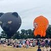 Deflated families brand balloon festival a 'rip-off' after £20-a-head event