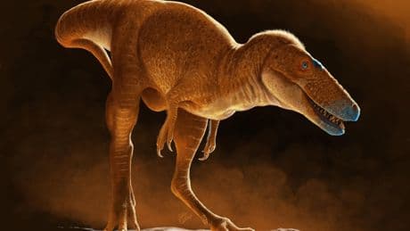 El eslabón perdido en la evolución del ‘Tyrannosaurus rex’ vivió en Mongolia hace millones de años