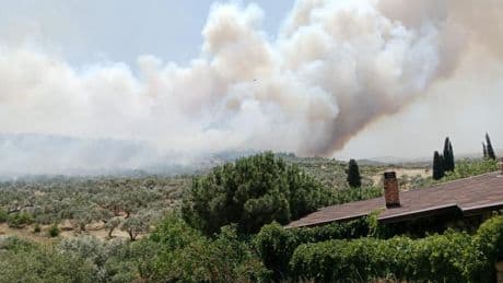 Foça'da orman yangınları sürüyor