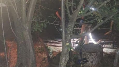 Muğla'da su kuyusuna düşen yaşlı kadın hayatını kaybetti