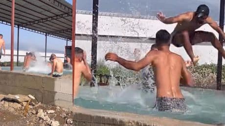 Kavurucusu sıcaktan bunalıp maydanoz havuzuna girdiler