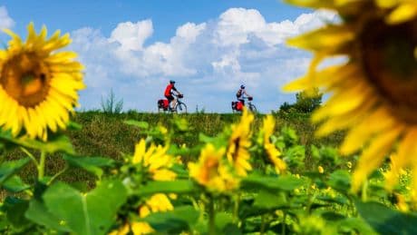 Radtouren in Niedersachsen: Das sind die besten Strecken im Norden