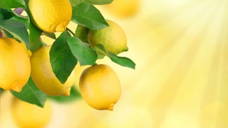 Recipe: Lemon meringue sablé