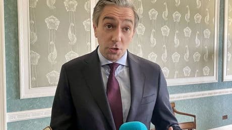 ‘Calm and measured dialogue’ required after Trump tariffs blocked, says Tanaiste