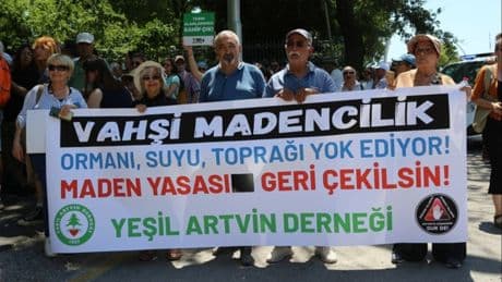 Zeytinliklere ölüm fermanı