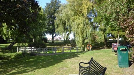 Girl, 7, dies and multiple children injured after park tree collapses
