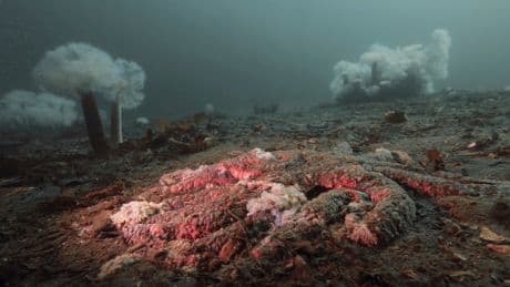 How scientists solved one of the greatest ocean mysteries