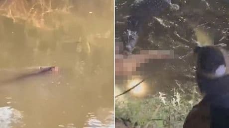 Horrifying moment father is snatched by crocodile and dragged to his doom in front of his family as they bathe in river… before bystanders bravely battle the beast to recover the victim's body