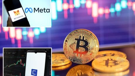 How to find the best crypto presales