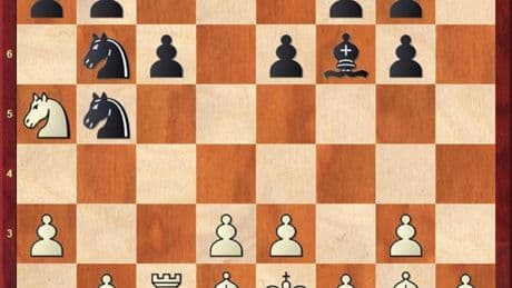 A fragrant cherry blossom bouquet shared at Virginia chess tournament