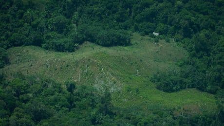Peru rejects creation of Amazon reserve to protect uncontacted tribes, drawing Indigenous outcry
