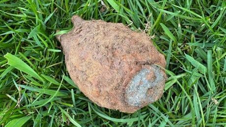 Explosive discovery helps family fun day at 13th century castle end with a bang