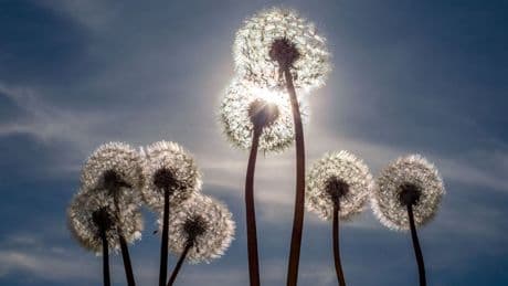 Wetter: Fast 30 Grad am Maifeiertag – jetzt folgt ein Temperatursturz