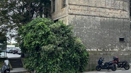 Picchiato e con le mani legate, trovato in piazza del Popolo: giallo a Savona