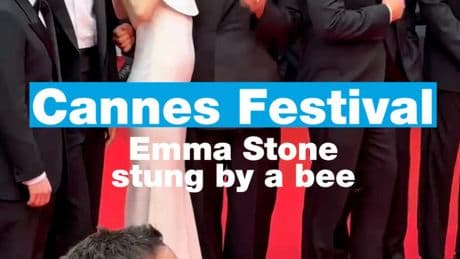 Emma Stone stung by a bee on the red carpet