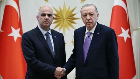 Cumhurbaşkanı Erdoğan, Avrupa Konseyi Genel Sekreteri Berset'i kabul etti