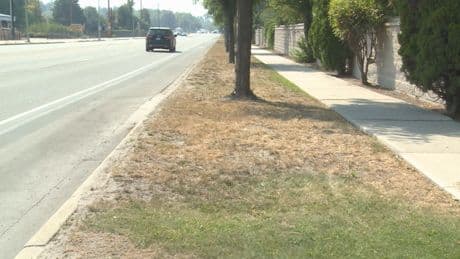 Dry July: Metro Vancouver got half the precipitation it usually does last month
