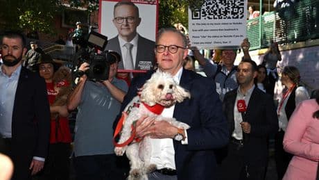 El Partido Laborista gana las elecciones federales en Australia: Anthony Albanese será reelegido primer ministro