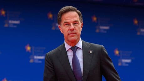 Head of Nato suggests alliance should look to ‘equalise’ US defence contribution