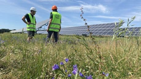 Panneaux solaires: comment la France tente de relancer la filière