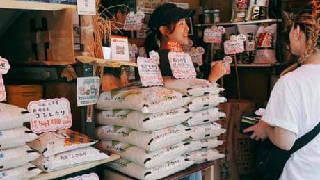L’échec du gouvernement japonais à endiguer la hausse des prix du riz pourrait lui coûter sa majorité au Sénat