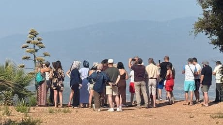 Antalya'da 30 yıl sonra görüldü, turistler görmek için oraya akın etti