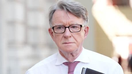 Baseline US tariffs on most UK goods ‘here to stay’, Lord Mandelson says