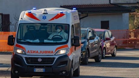 Italien: Todeszahlen durch West-Nil-Fieber steigen rasant an
