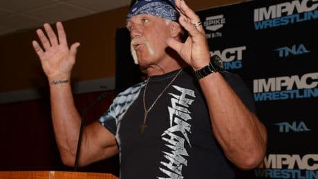 Ron DeSantis declares ‘Hulk Hogan Day’ in Florida with flags flown at half-staff