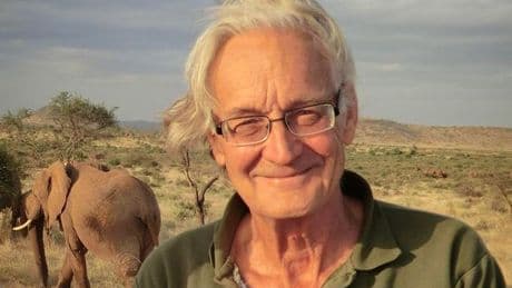 'I've spent decades talking to elephants - these 7 things make them just like us'