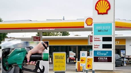 Shell scraps giant biofuel plant in Rotterdam as it continues its retreat from green energy