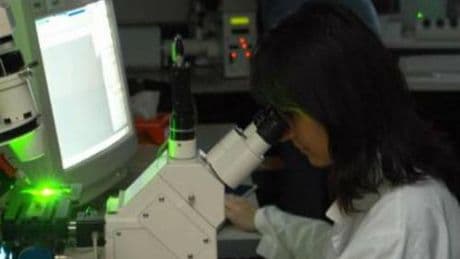 Sclerosi multipla, 78% pazienti insoddisfatto di assistenza e riabilitazione