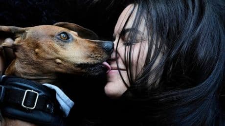 AP PHOTOS: As more Argentines go childless, pampered dogs become part of the family