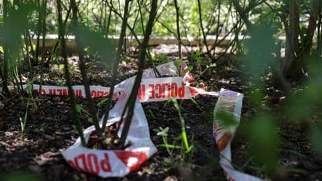 Man, 87, dies after being ‘robbed’ near kids’ playground in broad daylight