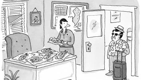 Bonus Daily Cartoon: Catching Up