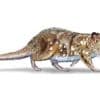 Quelques dizaines de grammes au temps des dinosaures... Le fossile d'un petit mammifère du Crétacé a été découvert au Chili