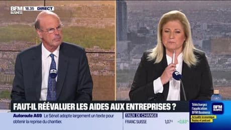 Éric Lombard (Ministère des Finances) : Faut-il réévaluer les aides aux entreprises ? - 15/05