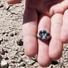 Missing chapter of human evolution revealed in 2.8-million-year-old teeth