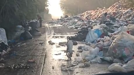 Es stinkt bestialisch - Landstraße wird zum Müllfriedhof