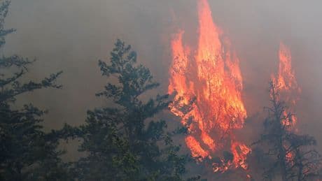 Republicans Blame Canada for Wildfire Smoke ‘Suffocating’ the U.S.