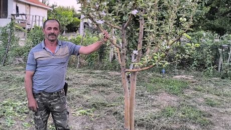 Kayseri'de beklenmeyen hasat: Ağustos ayında çiçek açtı