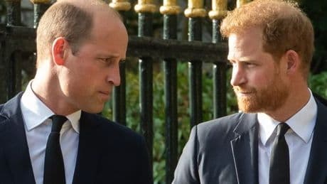 Prince William reunion with Prince Harry 'in balance due to Kate Middleton issue'